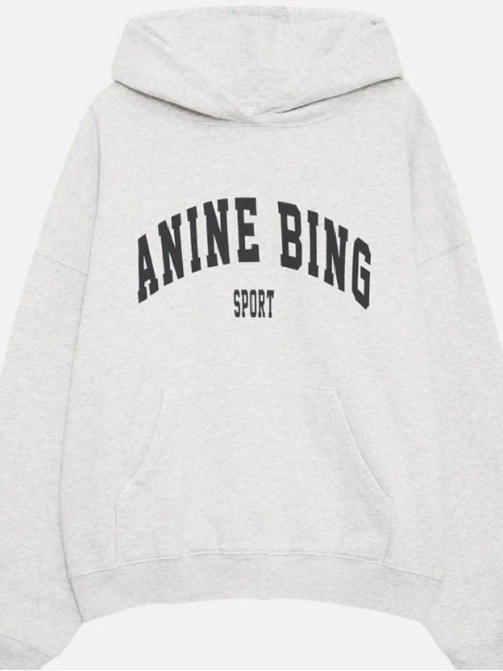 Anine Bing Harvey Hoodie